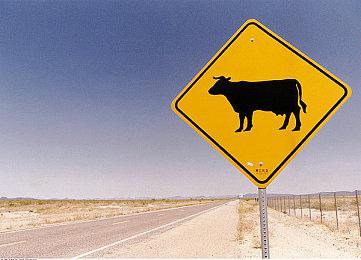 《开炮吧方舟》新补丁上线，多项内容优化与未来更新方向公布